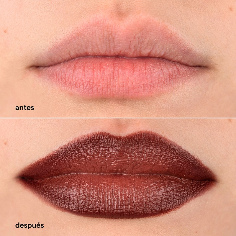 LIP COMBO BUCH&Oacute;N (SET PARA LABIOS)